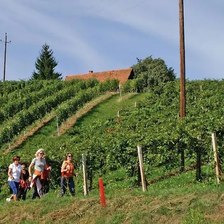 Apartmenthaus Franz Kleindienst Deutschlandsberg